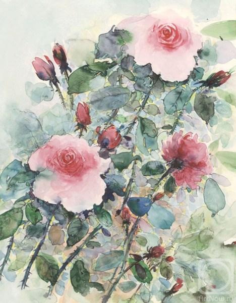 �������. �������� ����. ����