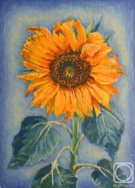 Green Irina. Sunflower flower