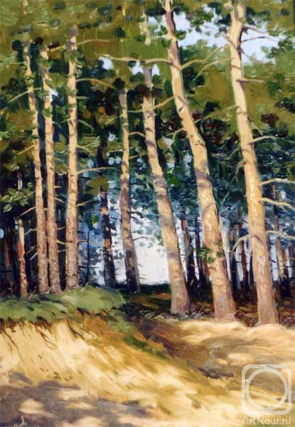 Kurnosov Andrey. Landscape 8