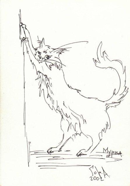 �������. ��������� ����. �����