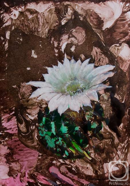 �������. ����� ��������. �������� ������