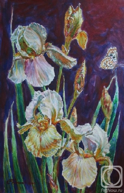 �������. �������� ������. ����� �����