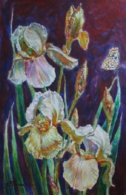 White irises. Bochmanov Sergey