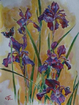 ����� �� �������. �������� ������