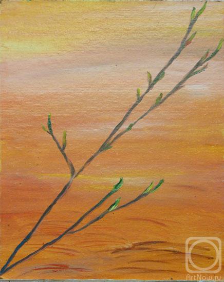 �������. ��������� ���. �����