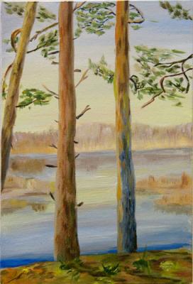 �����. ��������� ���