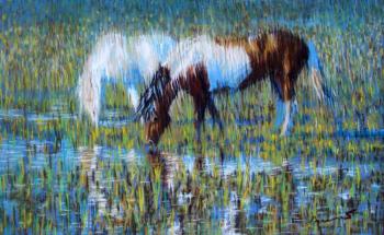 ������� ������� ���