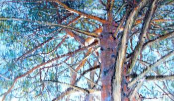 ������� ������ �������