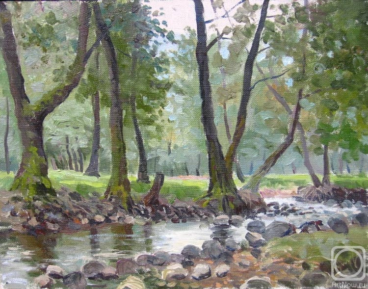 Kurnosov Andrey. Karpaty 1