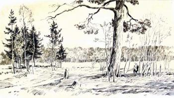 The old pine (An Old Pine). Chistyakov Yuri