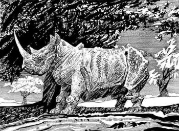 Rhinoceros. Skobtsov Alexander