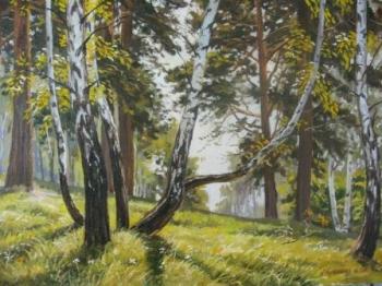 Birches, forest edge. Chernyshev Andrei