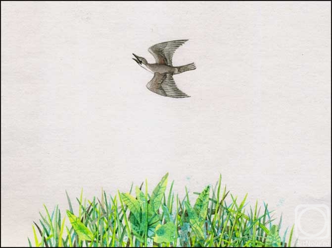 �������. ���������� ������. �����