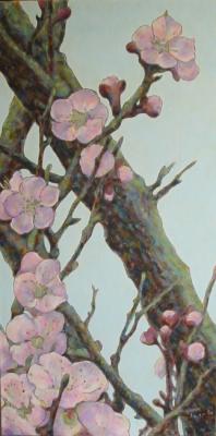 ������� �������