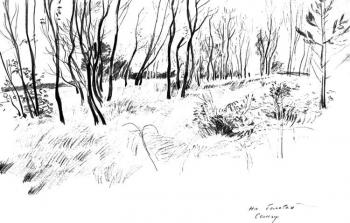 Album of drawings. Seliger � 3/83