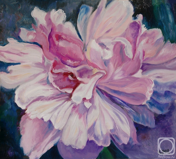 �������. ���� �������. ����