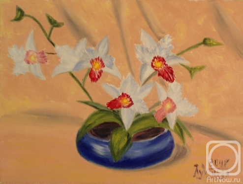 Lukaneva Larissa. Orchids