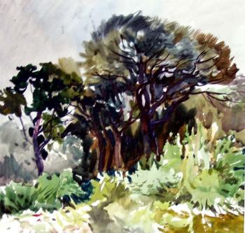 Carpathian landscape -89