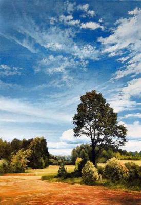 ������� �127 �����������