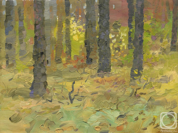 Chernov Denis. Autumn in Pine Forest II (etude)