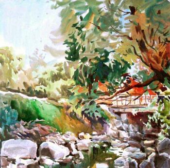 Carpathi. A mountain river