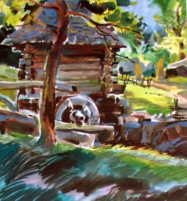 Carpathi. Rural view