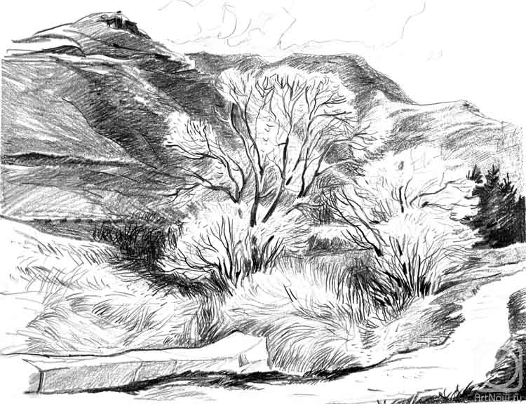 �������. ����������� ����. ���� ����������� - 13/80