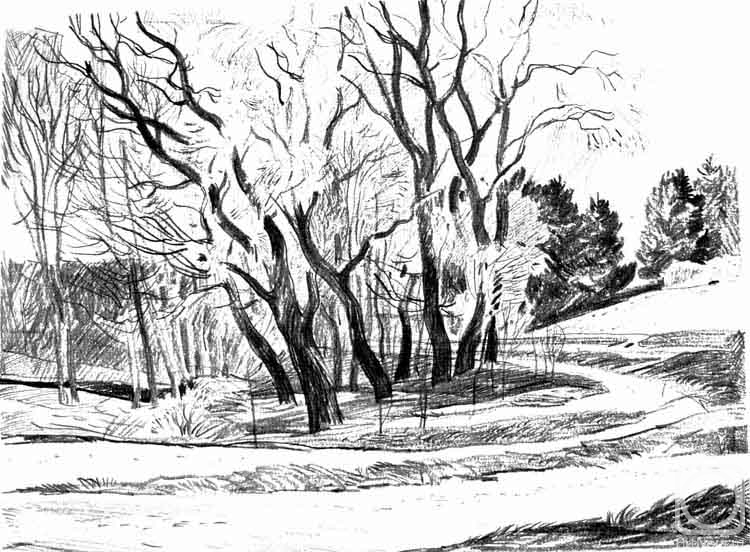 �������. ����������� ����. ���� ����������� 23/80