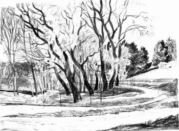 ������� ����� ����������� 23/80�