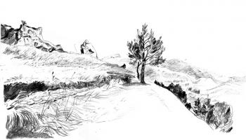 ������� ����� ����������� 30/80�