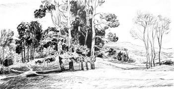 ������� ����� ����������� 33/80�