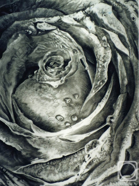 �������. ��������� �����. ����