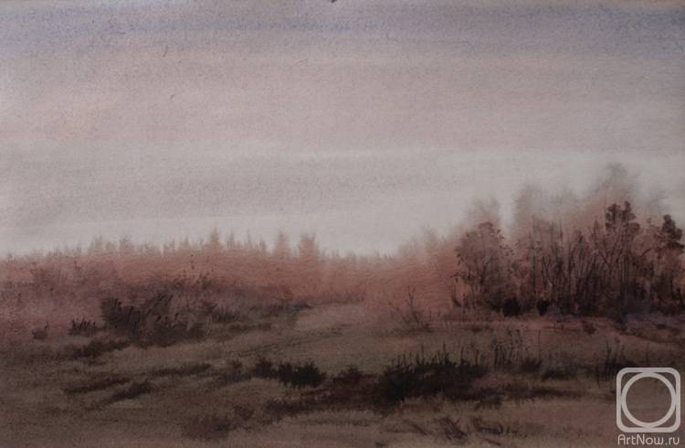 Shanin Vladimir. 29.11.2008 Gloomy day