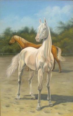 �����������. �������� �����