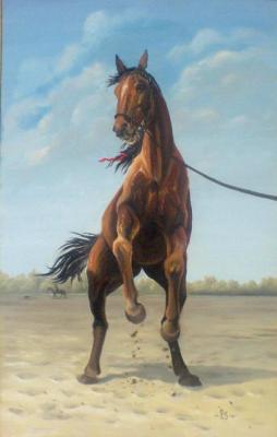 ������� ������������