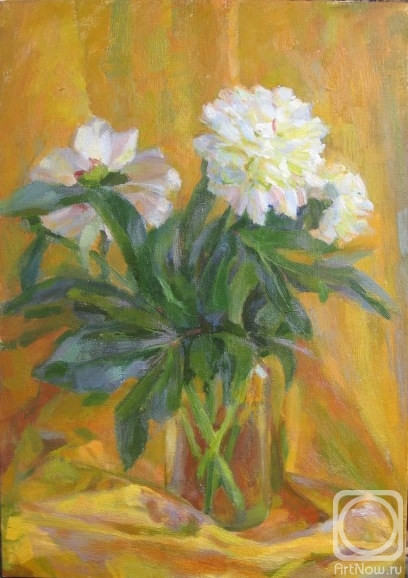 ������� ������ �� ������. ������� ��������. �����