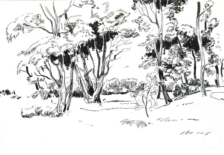 �������. ����������� ����. ���� � �������