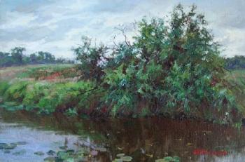 ������� ���������