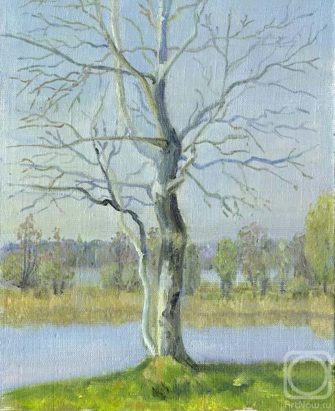 ������� ������ �� ������. ������ �������. �����������