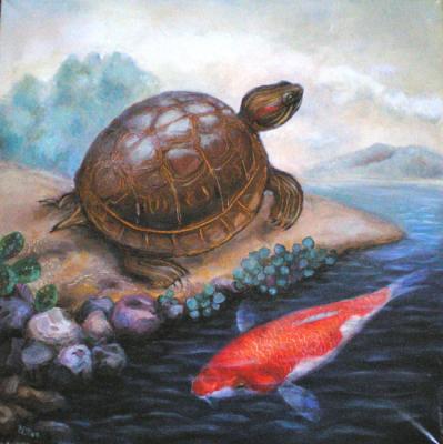Turtle and fish