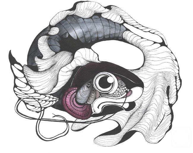 �������. �������� ��������. ����