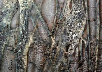 ������� �������� �������� ��������. ��������