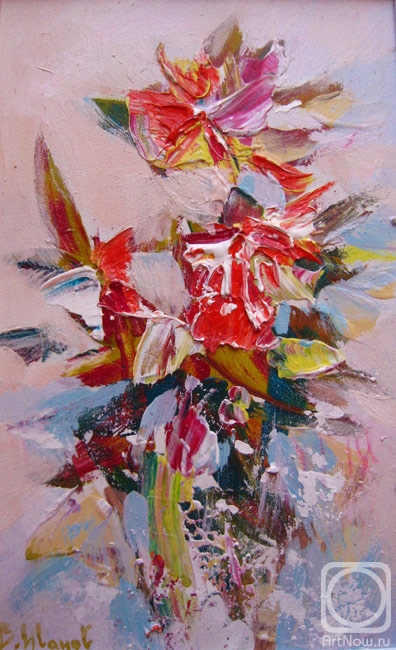 ������ ��������. �14