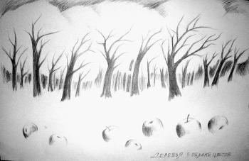 Apples in the snow