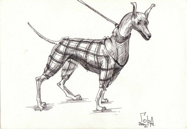 �������. ��������� ����. ���������