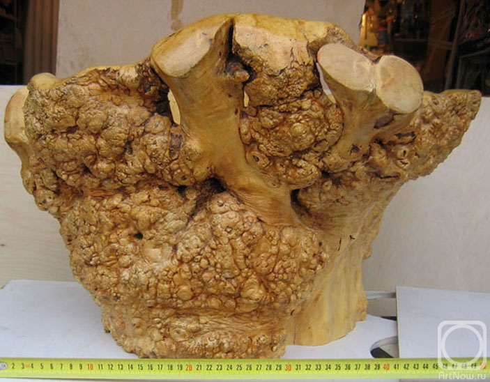 ����� ���������. ��������� �/�