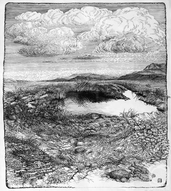 �������. ����� ��������. �������� ������