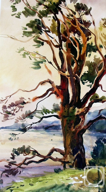 �������. ����������� ����. ����������� ����