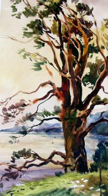 ������� ������������ ����