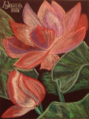 ������� ������� �������� 2�